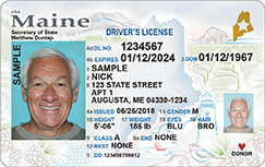 Driver license creator online